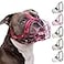 BRONZEDOG Pitbull Dog Muzzle Metal Mask Amstaff Wire Basket Pit Bull Adjustable Leather Straps for Large Dogs Pink