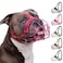BRONZEDOG Pitbull Dog Muzzle Metal Mask Amstaff Wire Basket Pit Bull Adjustable Leather Straps for Large Dogs Pink