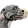 BRONZEDOG Pitbull Dog Muzzle Metal Mask Amstaff Wire Basket Pit Bull Adjustable Leather Straps for Large Dogs Gold