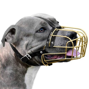 BRONZEDOG Pitbull Dog Muzzle Metal Mask Amstaff Wire Basket Pit Bull Adjustable Leather Straps for Large Dogs Gold