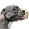 BRONZEDOG Pitbull Dog Muzzle Metal Mask Amstaff Wire Basket Pit Bull Adjustable Leather Straps for Large Dogs Gold