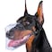 Mayerzon Basket Muzzle for Small to Large Dogs Breathable Prevents Biting for Grooming Scavenging Suitable for Husky Golden Retriever Labrador Beagle