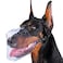 Mayerzon Basket Muzzle for Small to Large Dogs Breathable Prevents Biting for Grooming Scavenging Suitable for Husky Golden Retriever Labrador Beagle