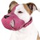 CollarDirect Dog Muzzle Pitbull Amstaff Basket Genuine Leather Staffordshire Terrier Pink
