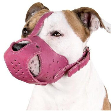 CollarDirect Dog Muzzle Pitbull Amstaff Basket Genuine Leather Staffordshire Terrier Pink