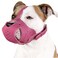 CollarDirect Dog Muzzle Pitbull Amstaff Basket Genuine Leather Staffordshire Terrier Pink