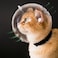 Hoqqf Cat Transparent Muzzle with Breathable Hood Adjustable Kitten Astronaut Helmet Prevent from pet Biting Chewing Grooming Ball Mask for Aggressive CatL