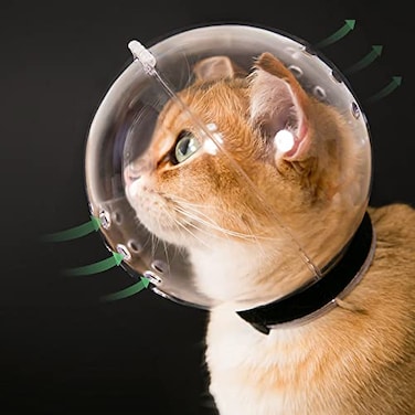 Hoqqf Cat Transparent Muzzle with Breathable Hood Adjustable Kitten Astronaut Helmet Prevent from pet Biting Chewing Grooming Ball Mask for Aggressive CatL