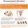 Crazy Felix Dog Muzzle Soft Mesh Muzzle for Small Medium Large Dogs Labrador German Shepherd Breathable Adjustable Mouth Guard for Biting Chewing Scavenging Allows Panting and DrinkingGrey L