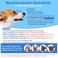 LUCKYPAW Dog Muzzle Suits for Small Medium Large Dogs Mesh Muzzle Anti Biting Chewing Breathable Mouth Cover Set with Adjustable Strap for Grooming Vet Visiting Training 7 PCSXXSXXL Black