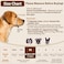 Crazy Felix Nylon Dog Muzzle for Small Medium Large Dogs Dachshund Beagle Poodle Labrador Air Mesh Breathable and Drinkable Pet Mouth Guard for AntiBiting Chewing ScavengingXS Pink