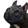 JWPC Short Snout Dog Muzzle Adjustable Bulldog Muzzle Breathable Mesh Dog Mask for Biting Chewing Barking Training Licking and Grooming L1525 Black