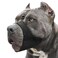Mayerzon Pitbull Muzzle Soft Dog Muzzle with AntiSlip Strap for American Bully Bulldog Boxers Rottweilers Fabric Mouth Guard for Medium Large Short Snout Dog Anti Biting Chewing Allow to Drink