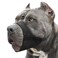 Mayerzon Pitbull Muzzle Soft Dog Muzzle with AntiSlip Strap for American Bully Bulldog Boxers Rottweilers Fabric Mouth Guard for Medium Large Short Snout Dog Anti Biting Chewing Allow to Drink