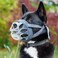 Baskerville INVISA Basket Dog Muzzle Patented Humane Design with Facial Visibility Padded Nose Band Dog can Pant and Drink Prevents Biting and Scavenging Muzzle for Large Dogs Size 5