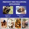 Evollax Dog Muzzle for Large Dogs Air Mesh Muzzle for Large Sized Dog Adjustable No Bark Dogs Muzzles for Scavenging Licking Chewing Prevent Biting L 79 94