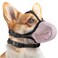 BONTHEE Dog MuzzleMesh Soft Muzzle for Small Medium Large Sized Dogs Breathable Reflective Adjustable Puppy Muzzles with Collar for Scavenging Grooming Biting ChewingAllows Panting and DrinkingPink M