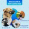 Evollax Dog Muzzle for Large Dogs Soft Breathable Muzzle for Large Sized Dog with Air Mesh Adjustable Mussels for Dogs Grooming Muzzles to Prevent Biting Barking Chewing Allows Panting Drinking