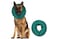 ZenPet Protective Inflatable Recovery Collar for Dogs and Cats Teal Soft Pet Cone Does Not Block Vision ECollar Designed to Prevent Pets from Touching Stitches Wounds and Rashes XL