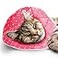 SunGrow Cat Cone Collar Soft Washable Cat Recovery E Collar Sleep Cone After Surgery to Stop Licking Pet Cone of Shame Alternatives Scratch Bite Proof Grooming Soft Cone for Easy Nail Cutting