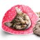 SunGrow Cat Cone Collar Soft Washable Cat Recovery E Collar Sleep Cone After Surgery to Stop Licking Pet Cone of Shame Alternatives Scratch Bite Proof Grooming Soft Cone for Easy Nail Cutting