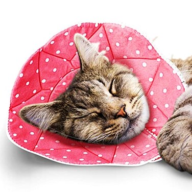 SunGrow Cat Cone Collar Soft Washable Cat Recovery E Collar Sleep Cone After Surgery to Stop Licking Pet Cone of Shame Alternatives Scratch Bite Proof Grooming Soft Cone for Easy Nail Cutting