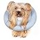 GAGABODY Comfortable Adjustable Soft Dog Cone Alternative After Surgery Elizabethan Donut Collar for Cats Medium Dogs and Small Dogs