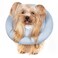 GAGABODY Comfortable Adjustable Soft Dog Cone Alternative After Surgery Elizabethan Donut Collar for Cats Medium Dogs and Small Dogs