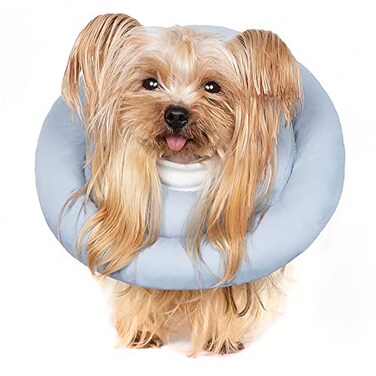 GAGABODY Comfortable Adjustable Soft Dog Cone Alternative After Surgery Elizabethan Donut Collar for Cats Medium Dogs and Small Dogs