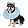 Gagabody Comfortable Adjustable Soft Cone Alternative for Medium Dogs Cats Small Dogs After Surgery Recovery Collar