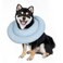 Gagabody Comfortable Adjustable Soft Cone Alternative for Medium Dogs Cats Small Dogs After Surgery Recovery Collar