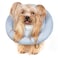 GAGABODY Dog Cones for Small Dogs Cats Comfortable Adjustable Soft Dog Cone Alternative After Surgery Elizabethan Donut Collar Blue Cotton Synthetic Fabric