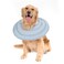 Gagabody Dog Cone for Large Dogs Comfortable Adjustable Soft Alternative After Surgery Elizabethan Donut Collar for Recovery Different Sizes for Cats Medium and Small Dogs