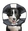 ZenPet Recovery Cone ECollar for Dogs Cats Soft Comfortable Safe StressFree Healing After Surgery Adjustable Design Secure Custom Fit Large