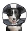 ZenPet Recovery Cone ECollar for Dogs Cats Soft Comfortable Safe StressFree Healing After Surgery Adjustable Design Secure Custom Fit Large