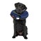 Calm Paws Behavior Support Calm Paws Protective Inflatable Collar Large wDog Calming Disc