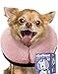 Loflaze Soft Inflatable Dog Cone for Large Medium Small Dogs Cats Neck Donut E Collar Alternatives for Recovery