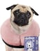 Loflaze Soft Inflatable Dog Cone Collar for Large Medium Small Dogs Cats After Surgery Neck Donut E Collar Alternative for Recovery