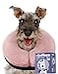 Loflaze Soft Inflatable Dog Cone Collar MediumLargeSmall Cat Size Dog Neck Donut E Collar Alternative for Recovery