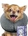 Loflaze Soft Inflatable Dog Cone Collar Alternative After Surgery Dog Neck Donut E Collar for Large Medium Small Dogs Cats Post Surgery Recovery Collar to Stop Licking Grey S