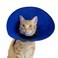 KVP EZ Soft Pet Cloth Recovery Collar S Size Fits 55 to 1225 Neck55 Depth