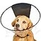 Didopet Dog Cone Collar Transparent Recovery Cone for Large Medium Small Dogs Soft Elizabethan Collar After Surgery to Prevent Licking Wound Enhanced Visibility Patented