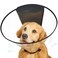 Didopet Dog Cone Collar Transparent Recovery Cone for Large Medium Small Dogs Soft Elizabethan Collar After Surgery to Prevent Licking Wound Enhanced Visibility Patented