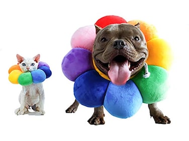 ccypet Pet Adjustable Recovery Collar Recovery Protective Pet Cone Wound Healing Protective Soft Edge for PetsKittenCatsSmall Dogs