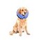 MCHY Inflatable Dog ConeAdjustable Recovery Collar for Dogs After SurgeryPrevent from Biting ScratchingNot Block Vision Blue LNeck 15 20