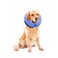 MCHY Inflatable Dog ConeAdjustable Recovery Collar for Dogs After SurgeryPrevent from Biting ScratchingNot Block Vision Blue LNeck 15 20