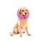 MCHY Inflatable Dog ConeAdjustable Recovery Collar for Dogs After SurgeryPrevent from Biting ScratchingNot Block Vision Pink LNeck 1520