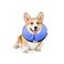 MCHY Inflatable Dog ConeAdjustable Recovery Collar for Dogs After SurgeryPrevent from Biting ScratchingNot Block Vision Blue MNeck 10 14