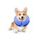 MCHY Inflatable Dog ConeAdjustable Recovery Collar for Dogs After SurgeryPrevent from Biting ScratchingNot Block Vision Blue MNeck 10 14