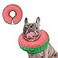 Supet Inflatable Dog Cone Collar for Large Medium Small Dogs Soft Cone Collar for Dogs Cats E Collar Pet Neck Donut Dog Cone Alternative After Surgery